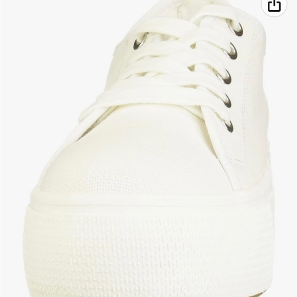 Shoes - - Steve Madden - Women's Elore
Sneaker